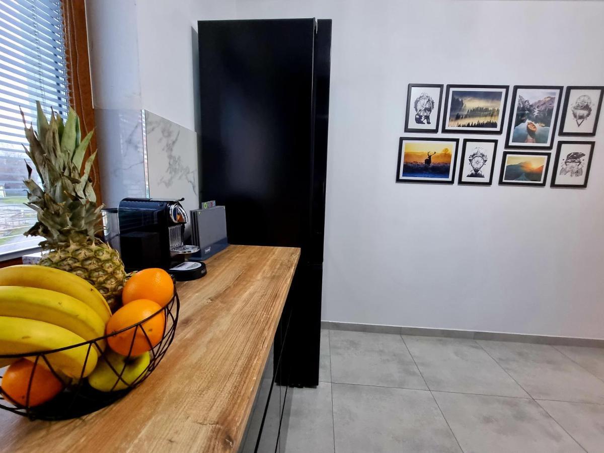 Apartament Jelonek W Karkonoszach Jelenia Góra Eksteriør billede