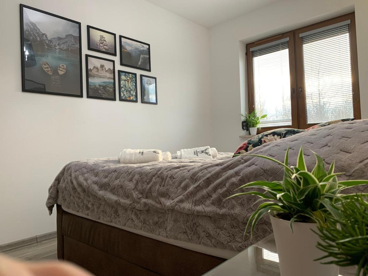 Apartament Jelonek W Karkonoszach Jelenia Góra Eksteriør billede
